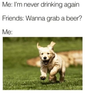 070D21E2-7F3A-4D4D-A7C3-6B4039D297D8.jpeg