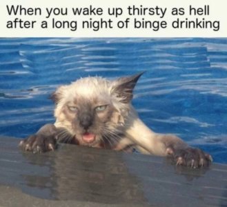 0C0DE0B1-1C77-4CC2-AFDF-6E4FA184D8D0.jpeg