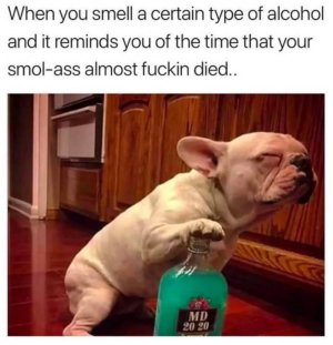 4431291B-4357-4868-97C5-656E9A99EA7F.jpeg