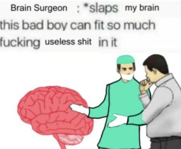 F8730742-6363-445B-83FF-E967DBAA4F24.jpeg