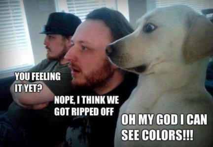 B53C2ECF-5701-469E-B21A-41B769106BA9.jpeg