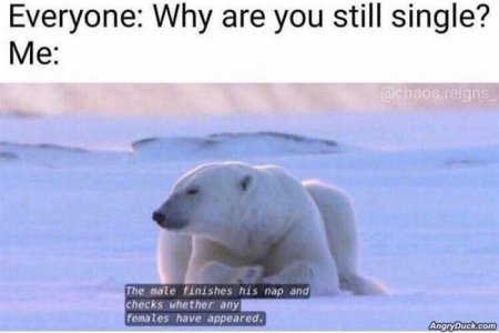 E7CDC980-1722-48E8-8A9E-9C76DFFBF7A4.jpeg