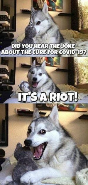 F4C90360-D533-44BB-8F07-5016D3CB9D68.jpeg