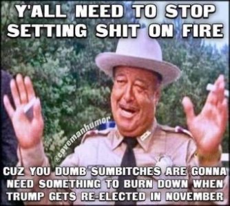 0D787290-B893-4537-B366-B6DF7FDF5F8D.jpeg
