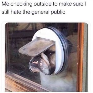 85577297-C7F5-40BF-98FF-E08F9E8E1D66.jpeg