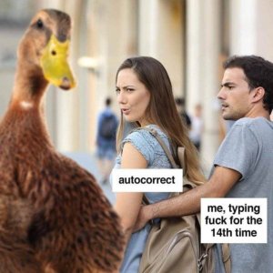 25F262E7-61F8-4A29-AB75-1E7E58D2DDF1.jpeg