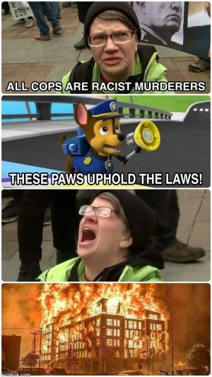 5019E012-50D2-4A57-9E4D-95CBCAA28E2C.jpeg