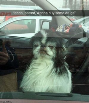 008920E5-948A-4A50-991D-BDCBAD0734DA.jpeg