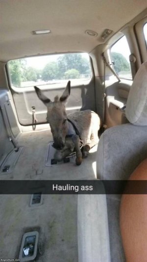 083A1D1E-575D-4EE4-B80F-C35F18F3B868.jpeg