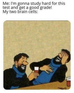 BB2B07B4-4611-4B32-B9AF-F206F2CCC99A.jpeg