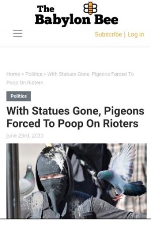 3F43DF1F-FE35-4DBE-A72F-D2ADA26469AA.jpeg