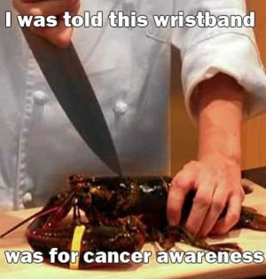 68998F8E-34C5-4B05-98B8-68A079CF1AF5.jpeg