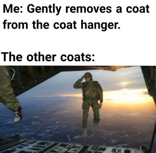 BBD77F3C-7893-4AA8-B5E0-88C7E3956B8A.jpeg