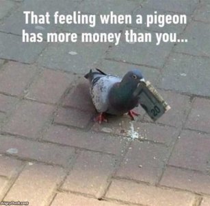 DE96238C-87F5-4EA5-B3B7-E19C8D8F63FB.jpeg
