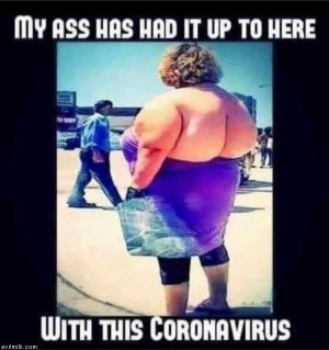 9D72468F-82ED-4544-9FD1-CE4C4A4E273B.jpeg