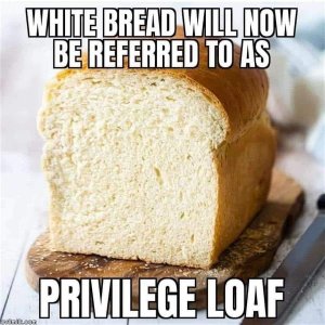 9C78042A-A201-4F3C-BEA0-54E88ACD4B2A.jpeg