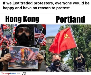 9CC647F7-7A51-4F4E-A5DB-9478EF1BFAFC.jpeg