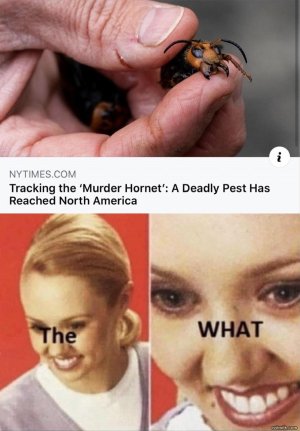 3F076EEF-C03C-4BA3-9C0A-5D594AE3B701.jpeg