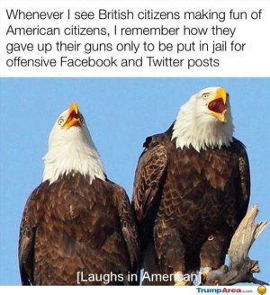 B7A01DC1-4A4B-47A4-AF9B-80999CC6ED5C.jpeg