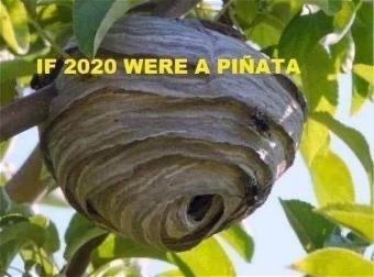 B2E4415E-AD69-4F41-94F9-737B56FF0311.jpeg