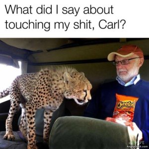 1745F028-2CB3-44CB-A8FC-0104A3CE06C1.jpeg