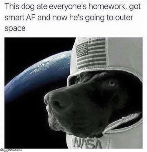 4976A5F6-3728-46F5-ACFA-A74905B142E6.jpeg