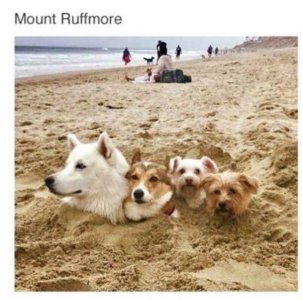 E05AD1AD-435B-4248-97DA-A7DFADF14802.jpeg