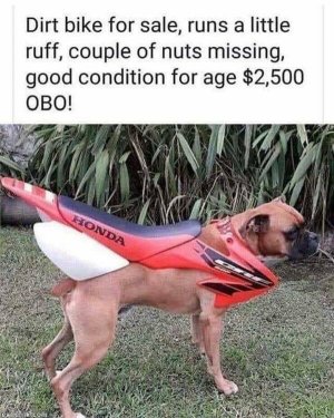 76538281-CF31-4354-8013-2D1FE4DEA5D7.jpeg