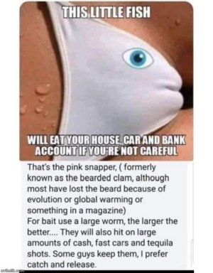 BC3E9507-69E9-42B0-80E5-2B0BA3E76CCB.jpeg