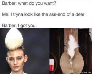 D62B18EE-E4EE-4A9F-A365-FD2452E2DFBC.jpeg