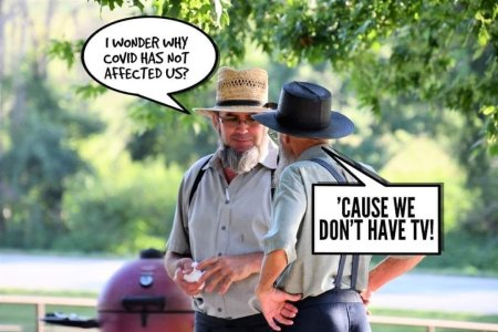 36E6F736-6CA2-48F4-B1EB-D811567DAD3C.jpeg