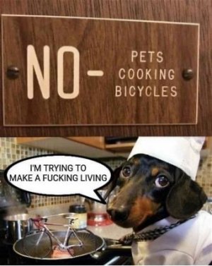 810F473C-230B-4025-B66C-A3FAB1B0AECB.jpeg