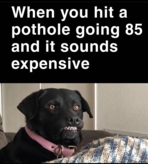 E0BA515D-7718-4FA3-9FB2-0DD122075B9C.jpeg