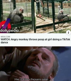 3B5212C9-00DD-4D38-96E6-E21E3199A3D0.jpeg
