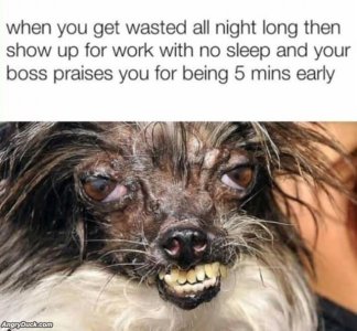 BE535F64-8010-4B2D-90F2-5329AA18F021.jpeg
