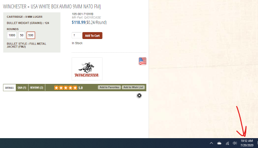 Ammo.png