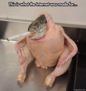 004AF622-2057-433B-A313-C9A1B3CA0C69.jpeg