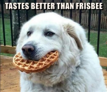 AED64E5F-47FF-4B64-A27B-9D451E6B50BF.jpeg