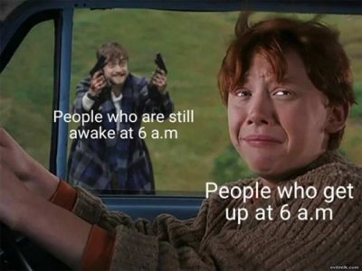 429F46F6-FA68-4522-8DFF-6B6D892546C7.jpeg