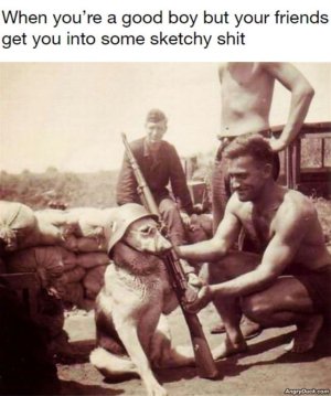 C3042530-64E0-4F66-ABFE-79D868669E4B.jpeg