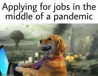 955E292F-7F7B-48DD-AF0A-CAEAA8451BF4.jpeg