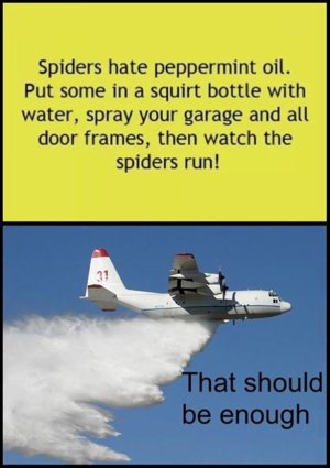 4517C794-D1F1-4926-A40B-E95B9B4E7B77.jpeg