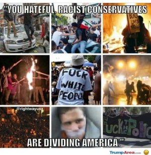 0CD4E683-EC3B-414D-B22D-D41850A3B42A.jpeg