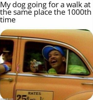 C654456B-8470-4769-B2BE-A74C96F8B7D5.jpeg