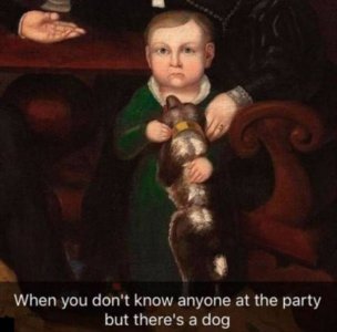 F4423B9C-75B4-4D7C-84F8-597CE0854D0E.jpeg