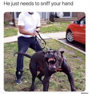 6402DEE8-E676-47DA-8AF4-3818D783E42B.jpeg