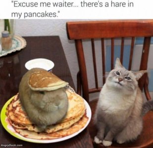 B671C1F2-F968-41C2-B6C5-59A420D26AA6.jpeg