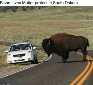 452B60FA-E437-4493-AA35-DF7B574BCCFC.jpeg