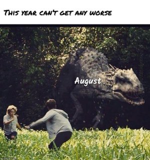 D53E04A2-B5E2-45A8-B9FD-E9BE67E93EE3.jpeg