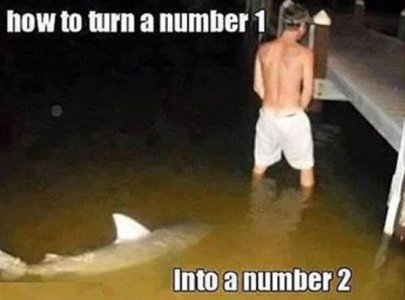 1116F6AE-12BC-469D-9F3F-E259ABDF4D8B.jpeg